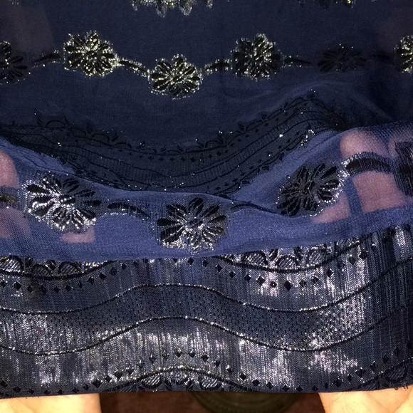 Stunning Navy Blue Sheer Dress w/ Slip - Picture 4 of 4